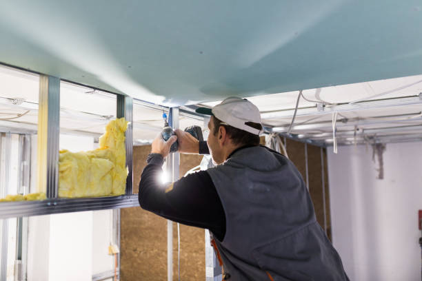 Best Residential Insulation in Woodburn, VA